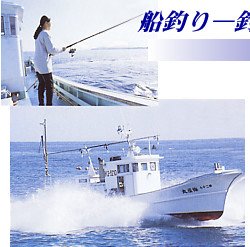 �D�ނ�@�ނ�̑�햡�𖡂키